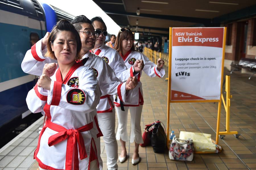 Como sucede cada año, el Elvis Express partió de la estación de Sydney hacia la localidad rural de Parkes, a más de 300 kilómetros, para celebrar la figura y la música de Elvis Presley, el legendario rey del Rock and Roll. A bordo, con sus patillas de hacha, vestidos con llamativas prendas que recuerdan al mito, decenas de imitadores viajan dispuestos a pasarlo en grande. Se espera que este año sean más de 25.000 los que lleguen a Parkes, que triplica su población durante los cinco días de festival.