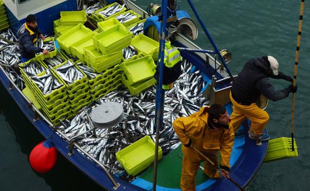 Pescadores castreños descargan el verdel capturado.