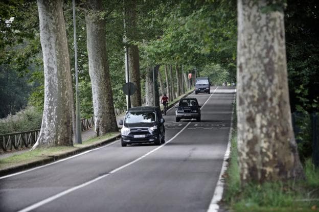 En el paseo hay alrededor de 60 ejemplares de árboles plataneros. :: 