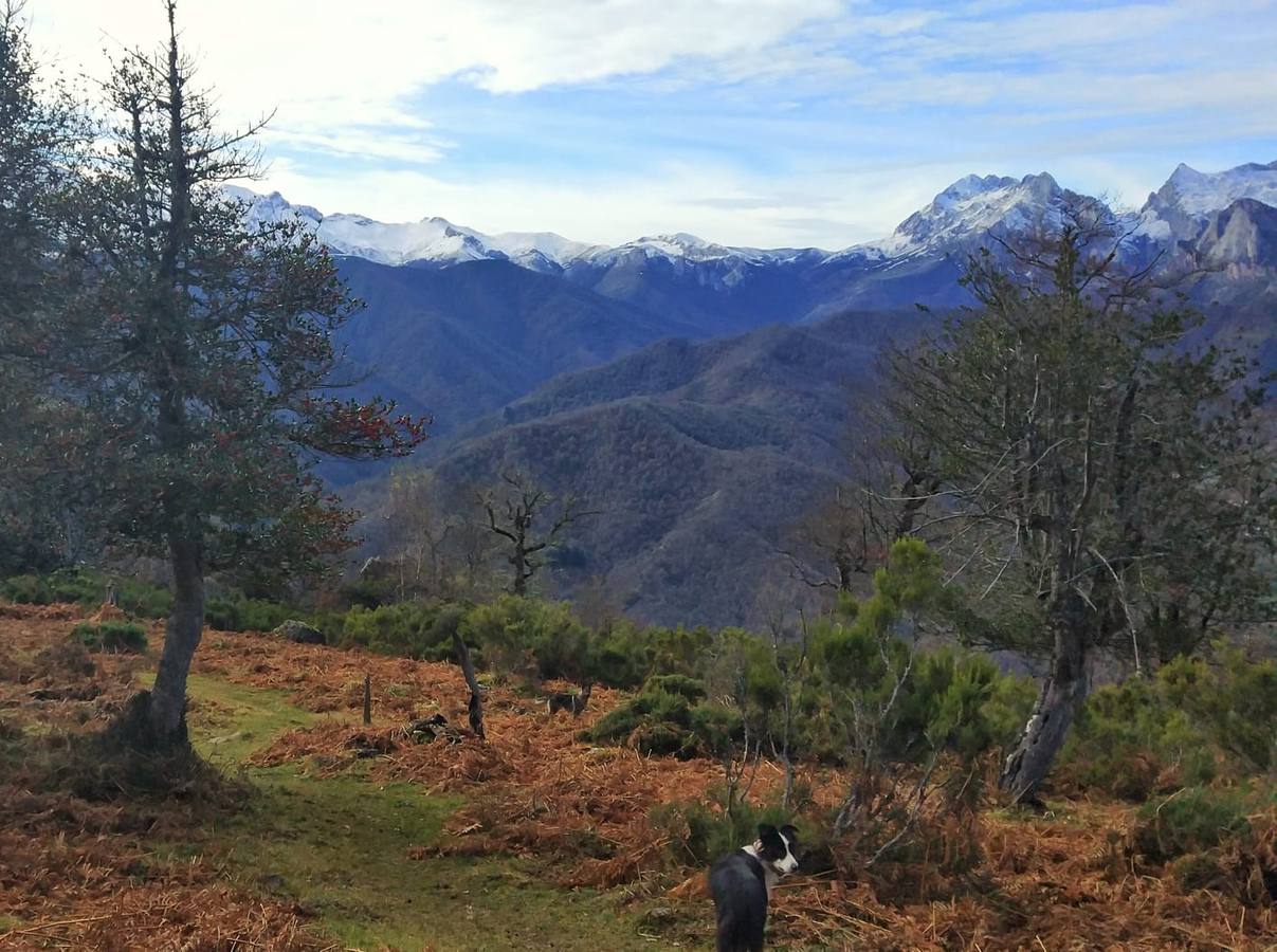 Fotos: Imágenes de la ruta por el Valle de Cereceda y el Pico Jano