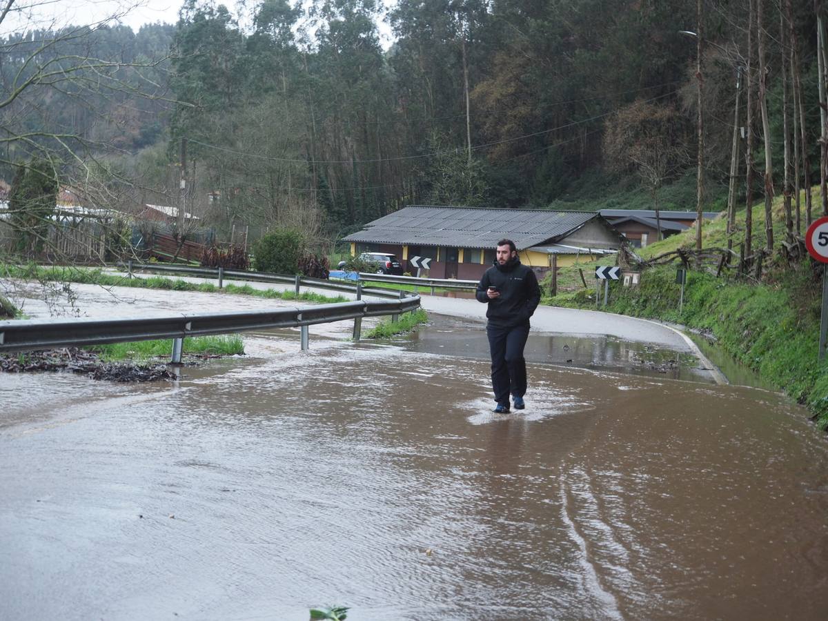 Fotos: Los ríos Besaya y Pas, desbordados