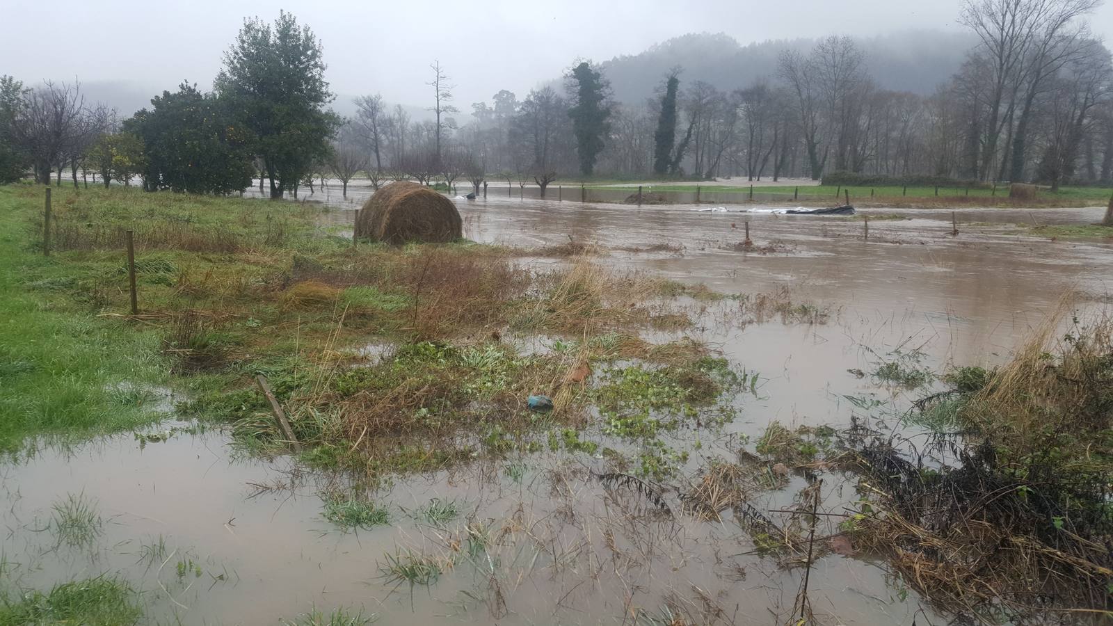 Fotos: Crecida del río Pas a su paso por Salcedo, Vioño y Oruña