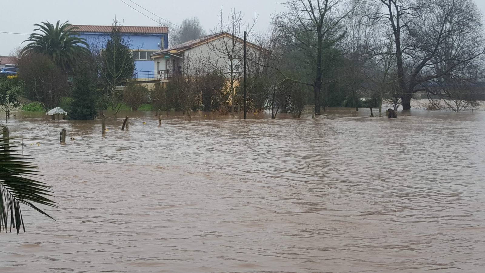 Fotos: Crecida del río Pas a su paso por Salcedo, Vioño y Oruña