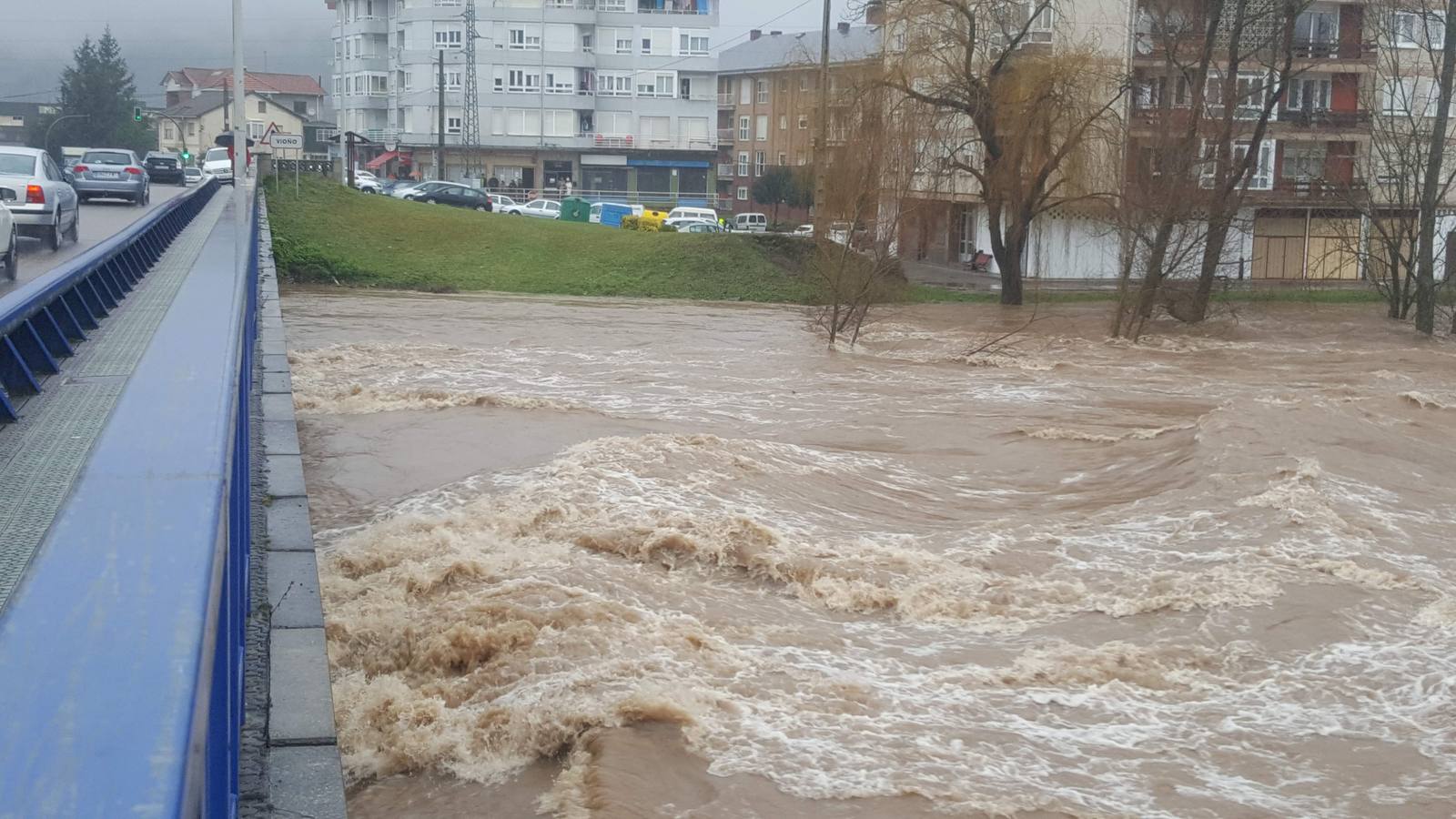 Fotos: Crecida del río Pas a su paso por Salcedo, Vioño y Oruña