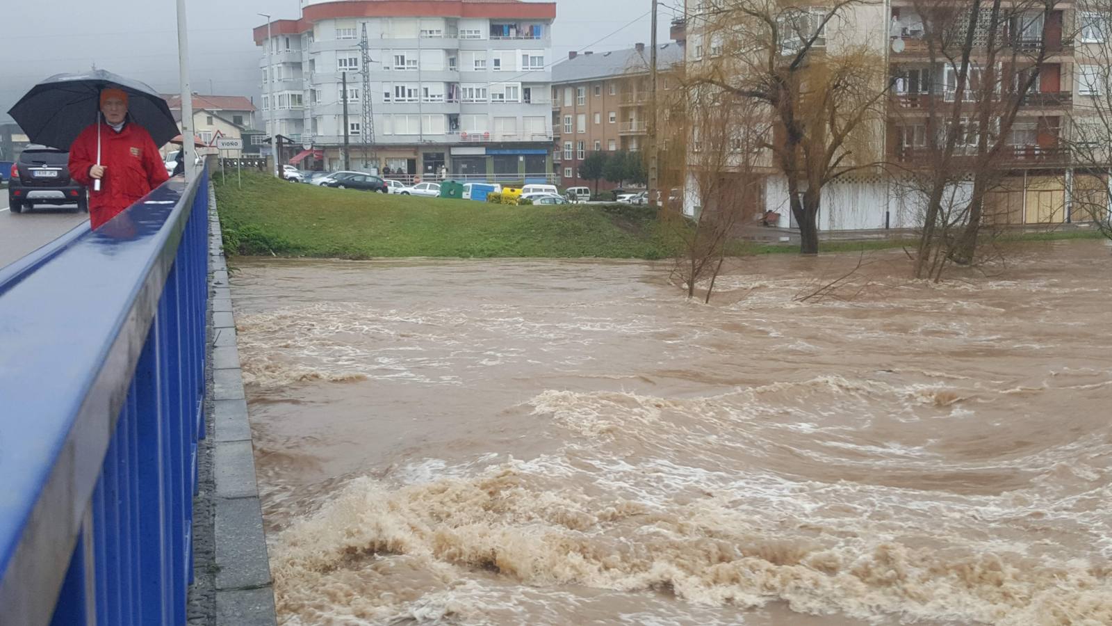 Fotos: Crecida del río Pas a su paso por Salcedo, Vioño y Oruña