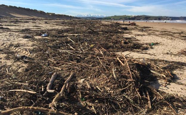 Los restos vegetales no son considerados residuos en las playas. 
