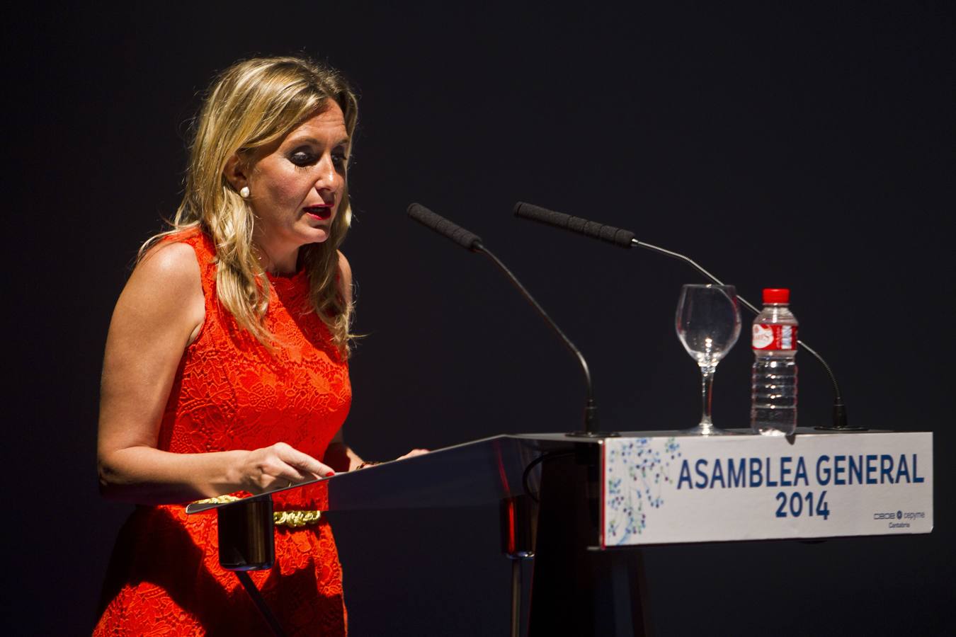 Gema Díaz Real interviene en la asamblea general de la CEOE Cepyme en 2014.