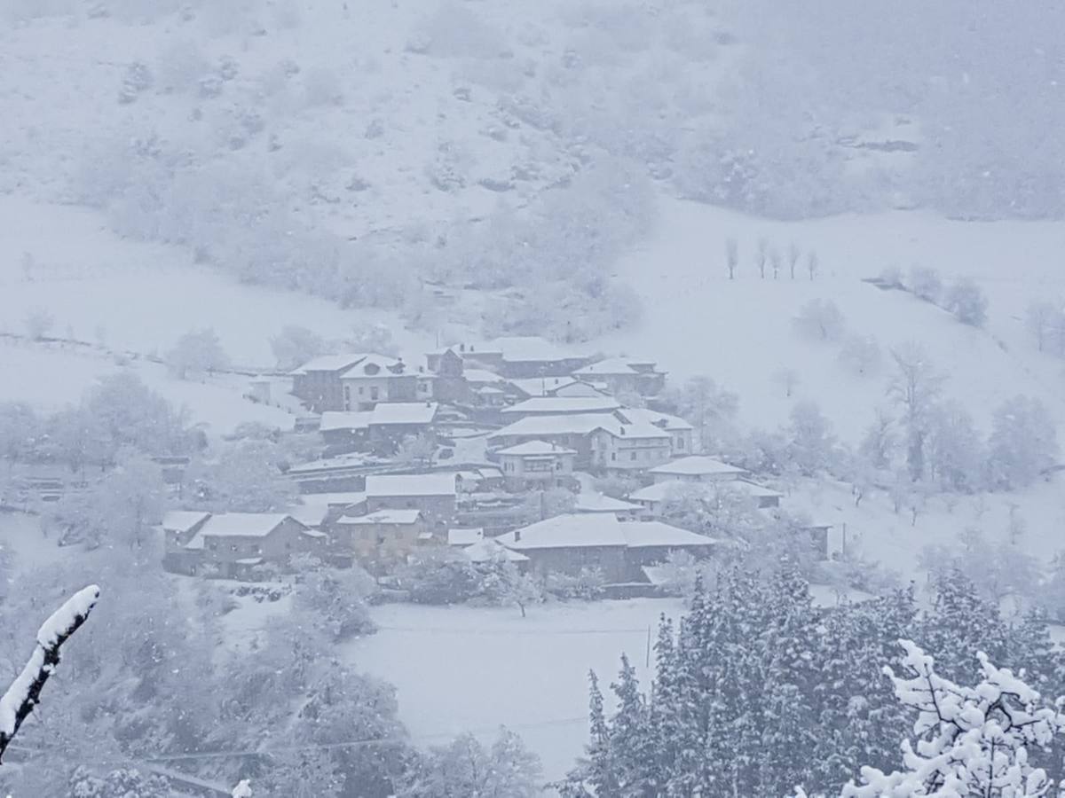 El municipio de Vega de Liébana presenta un espesor de hasta 40 centímetros de nieve, que dificulta los quehaceres cotidianos de los habitantes pero deja imágenes de postal. 