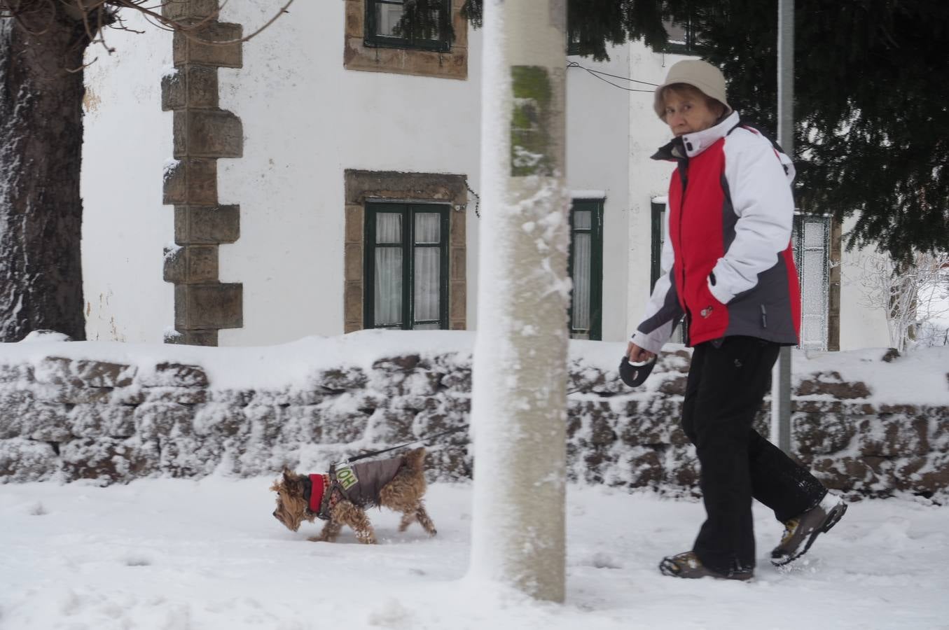 Así ha amanecido este sábado Reinosa, con las calles cubiertas por una espesa capa de nieve