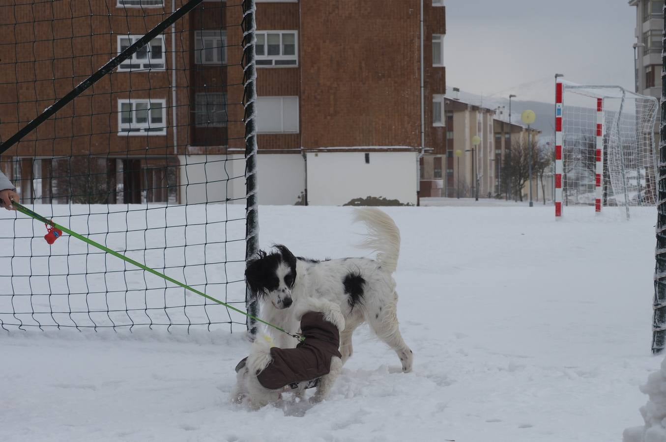 Así ha amanecido este sábado Reinosa, con las calles cubiertas por una espesa capa de nieve