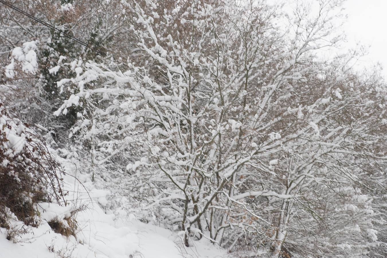El paso de la borrasca 'Helena' viste de blanco los paisajes de Campoo.