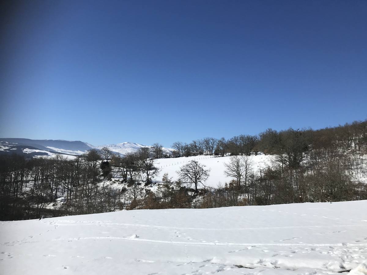 Fotos: La nieve cubre las localidades junto al Pantano del Ebro en Campoo de Yuso