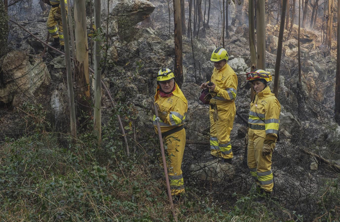 Fotos: Incendios en La Cavada y Vega de Pas este viernes