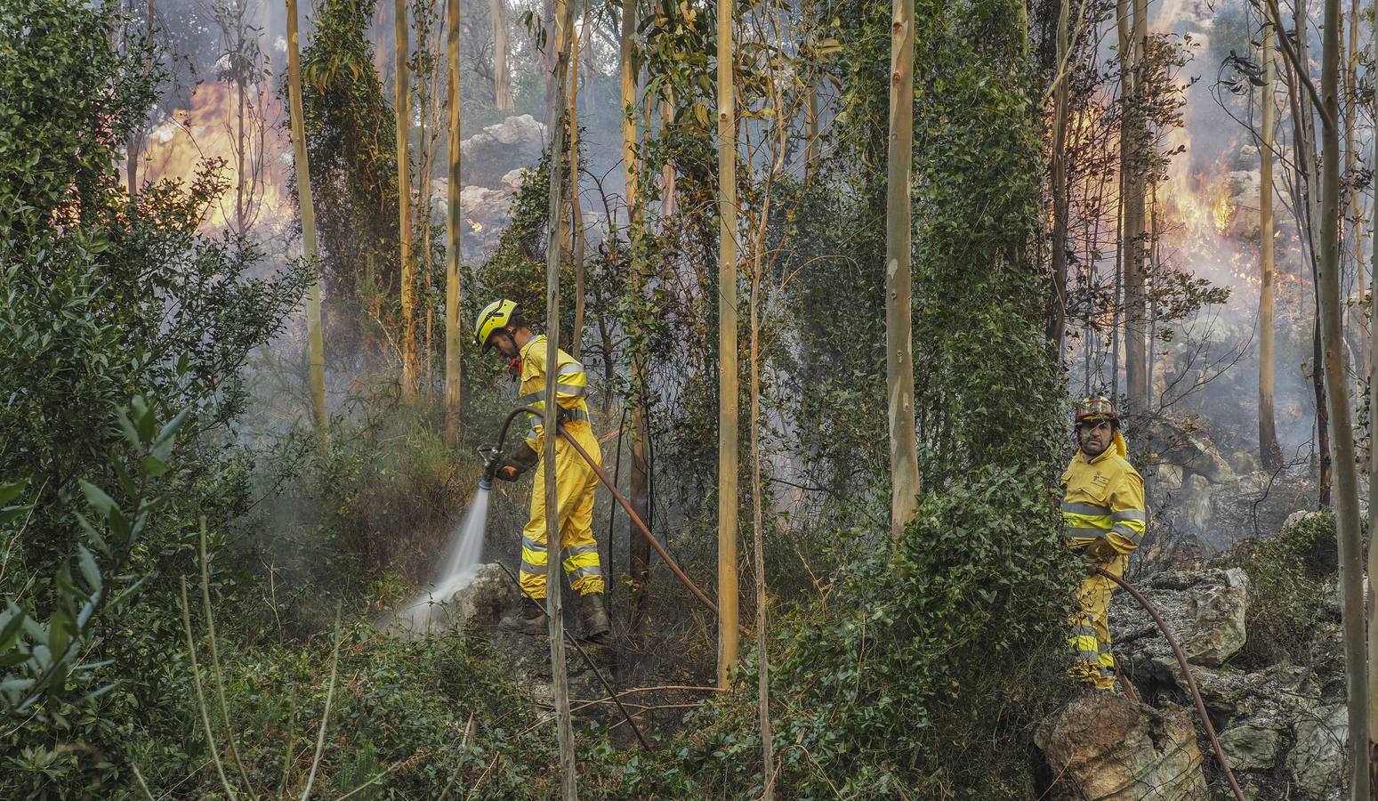 Fotos: Incendios en La Cavada y Vega de Pas este viernes