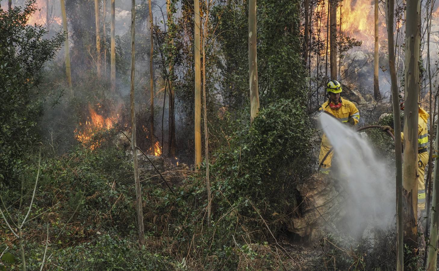 Fotos: Incendios en La Cavada y Vega de Pas este viernes