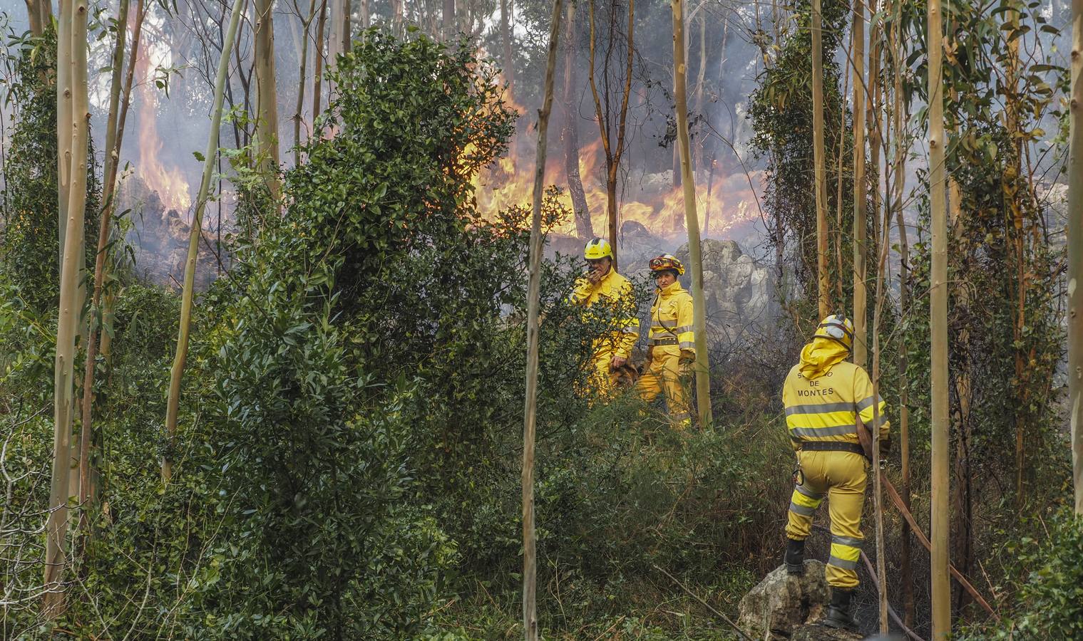 Fotos: Incendios en La Cavada y Vega de Pas este viernes