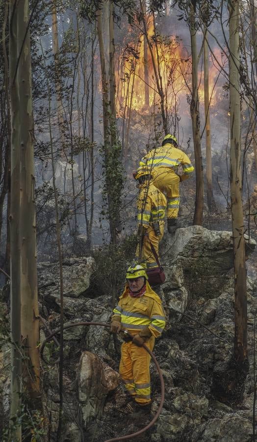 Fotos: Incendios en La Cavada y Vega de Pas este viernes