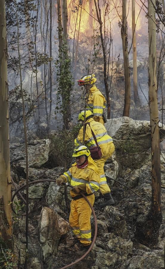 Fotos: Incendios en La Cavada y Vega de Pas este viernes