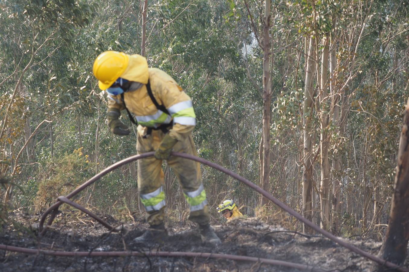 Fotos: La lucha contra el fuego de los operarios de Montes