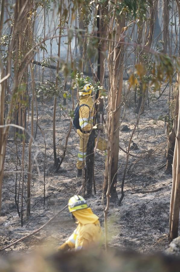 Fotos: La lucha contra el fuego de los operarios de Montes