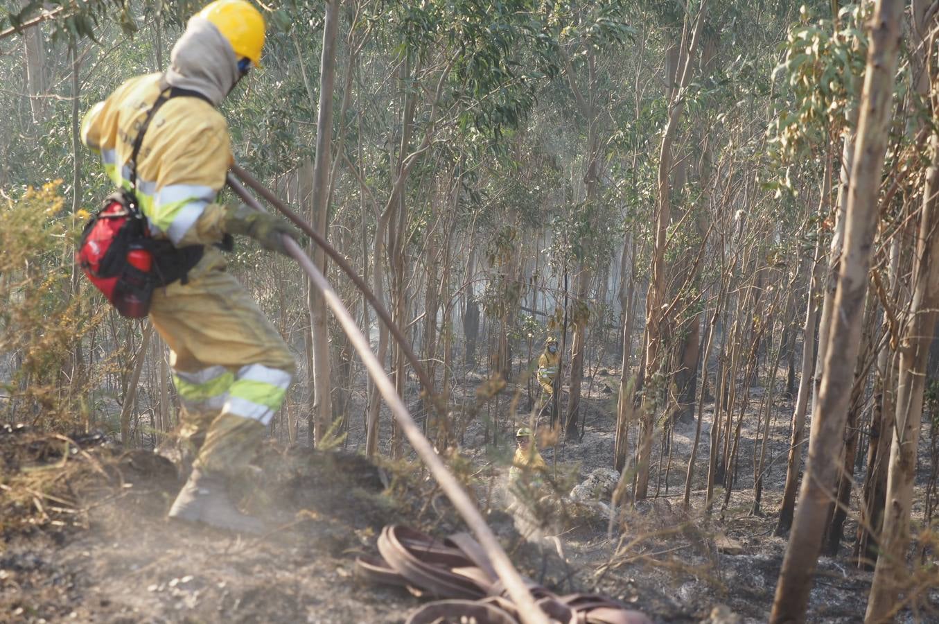 Fotos: La lucha contra el fuego de los operarios de Montes