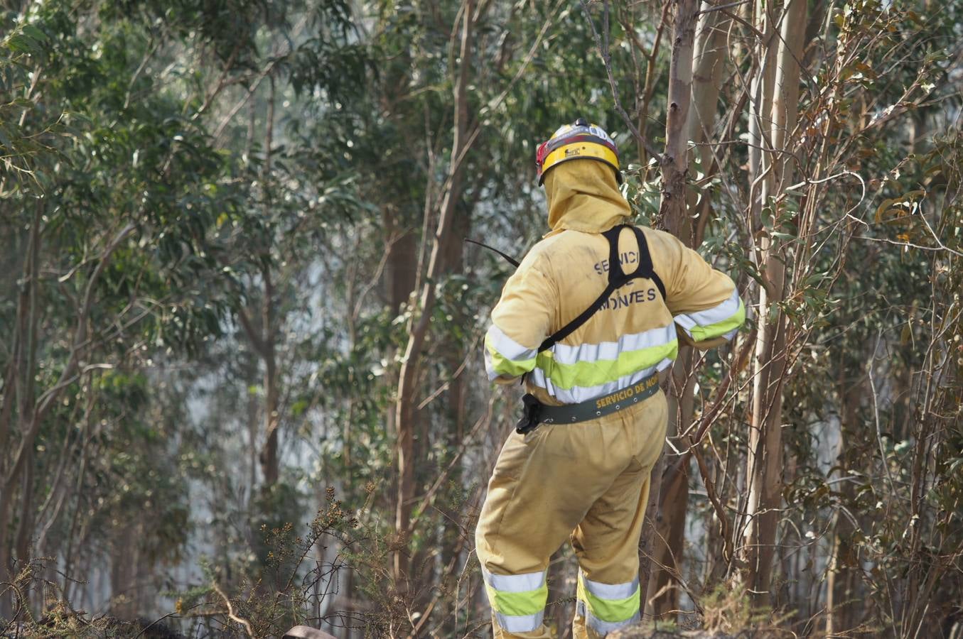 Fotos: La lucha contra el fuego de los operarios de Montes