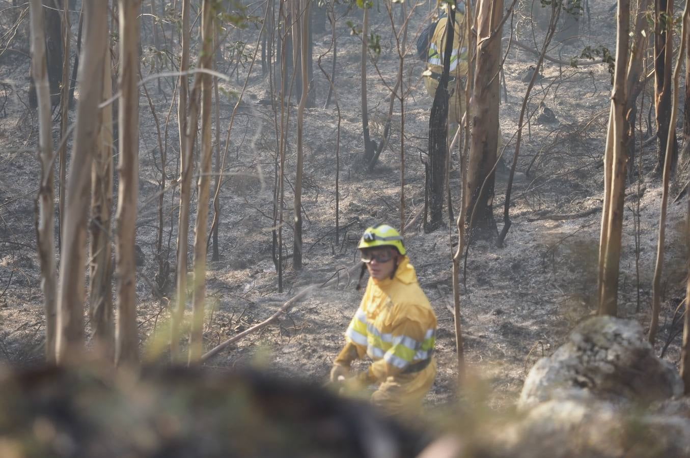 Fotos: La lucha contra el fuego de los operarios de Montes