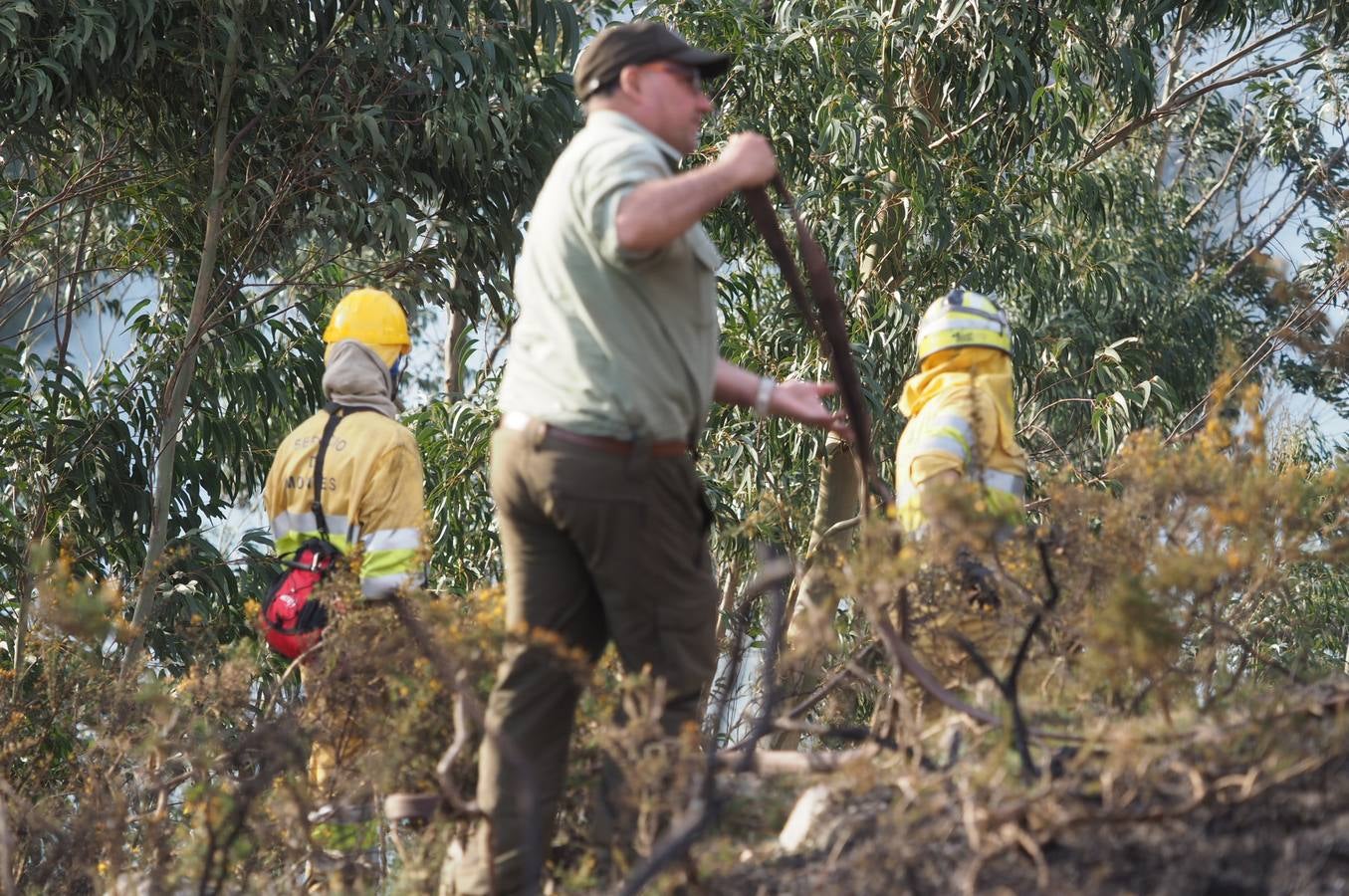 Fotos: La lucha contra el fuego de los operarios de Montes