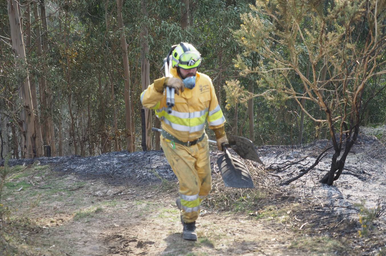 Fotos: La lucha contra el fuego de los operarios de Montes