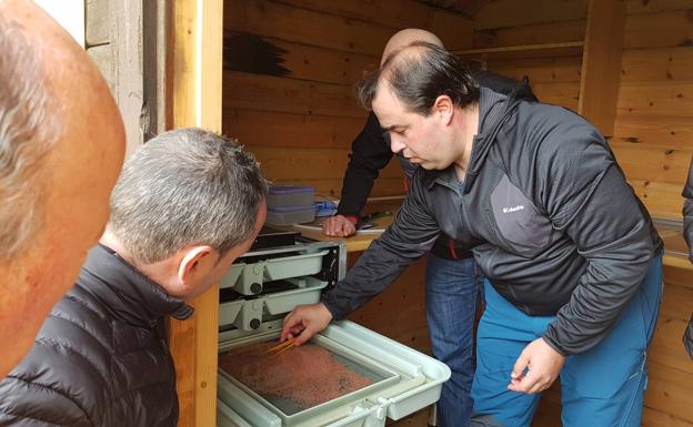 Juan Cobo, responsable del Centro Ictiológico de Arredondo muestra las bandejas donde están depositadas las huevas. 