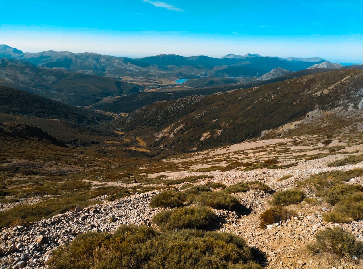 El inicio del Pedregal de la ladera sur.