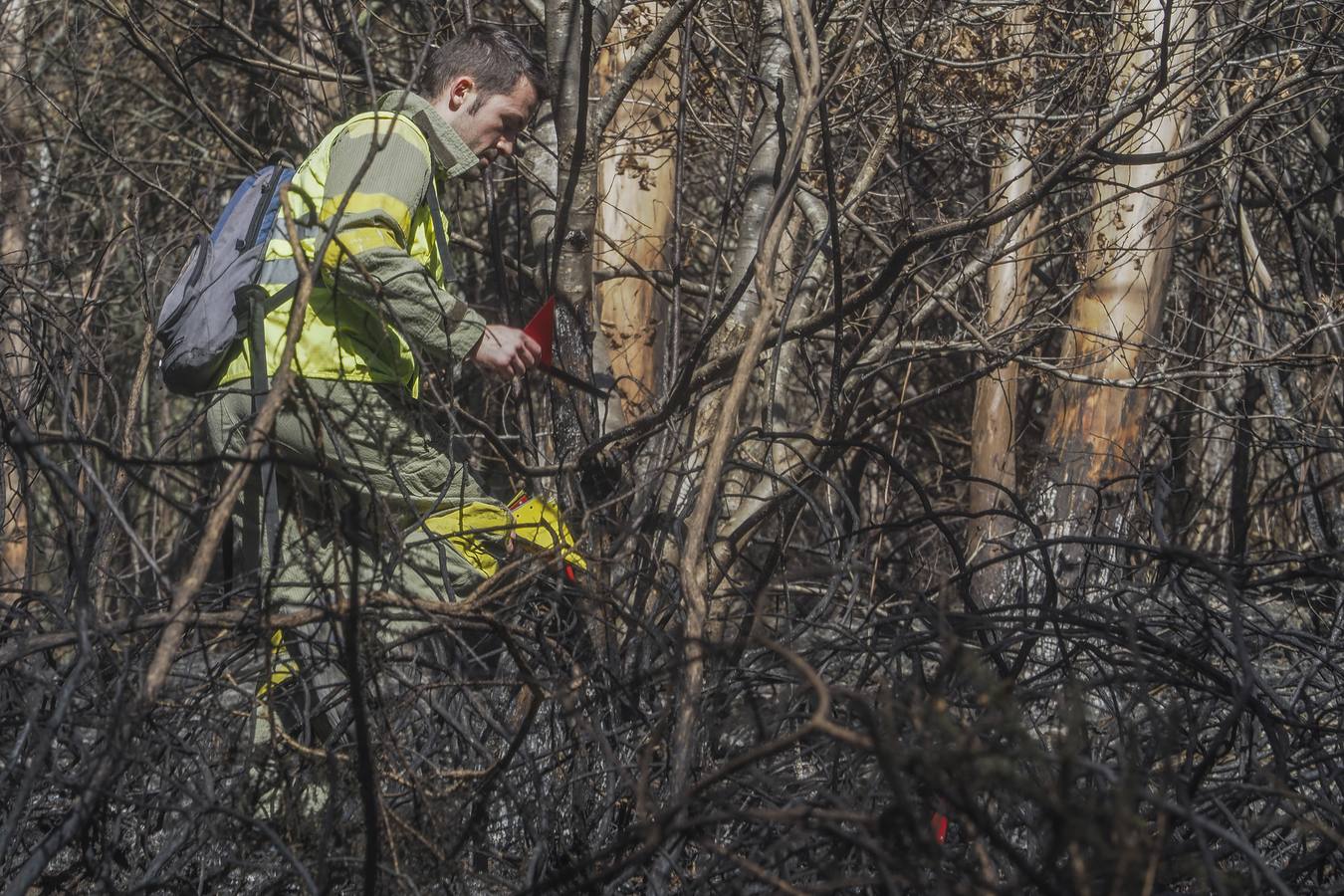 Una brigada de investigación de incendios y la Guardia Civil tratan de esclarecer el origen del fuego de Ramales