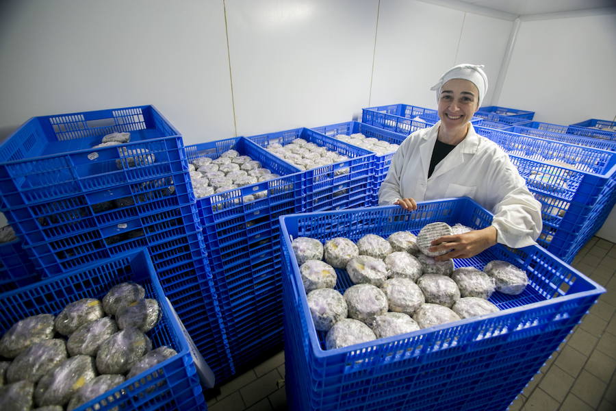 Gregoria Martínez Diego, de la quesería La Jarradilla de Tezanos de Villacarriedo.