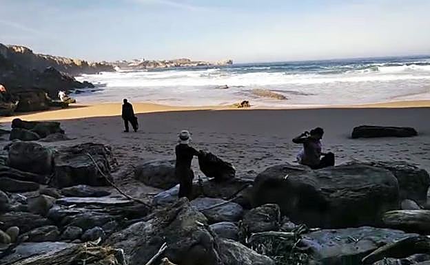 Voluntarios durante las labores de limpieza.