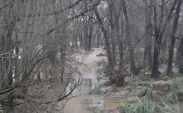 Imagen. Riberas del Besaya anegadas en Torrelavega.