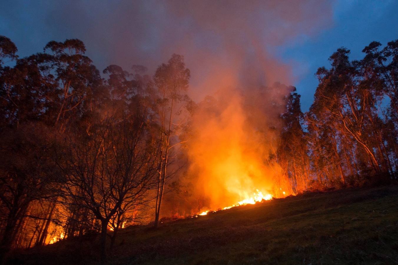 Fotos: Incendios en Cantabria