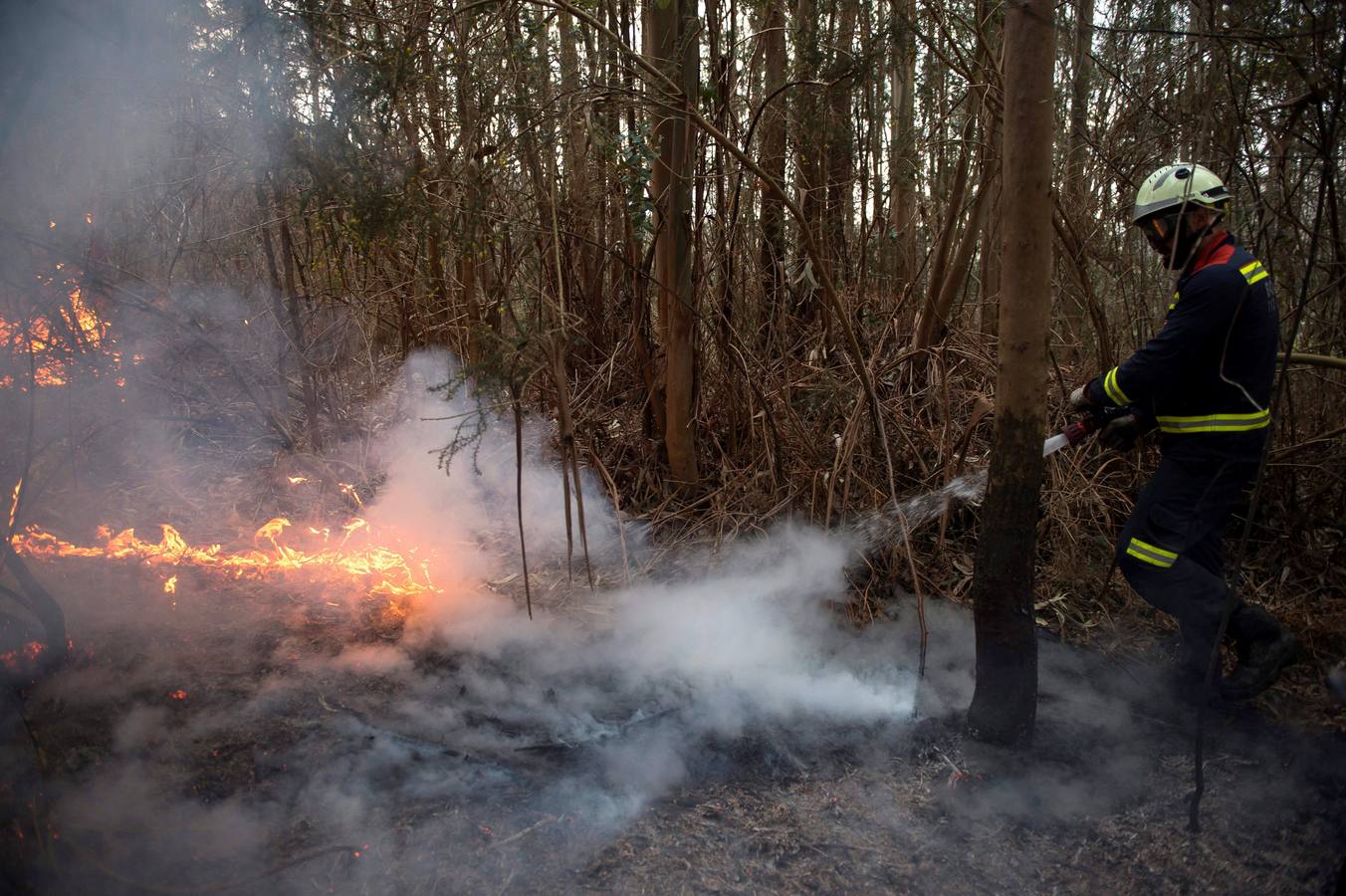 Fotos: Incendios en Cantabria