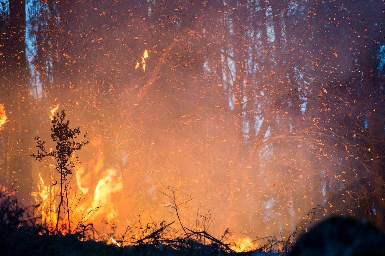 Fotos: Incendios en Cantabria