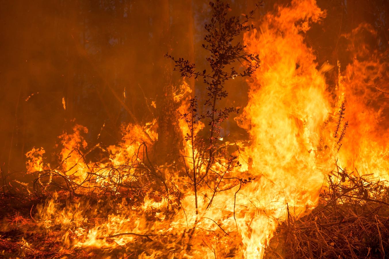 Fotos: Incendios en Cantabria