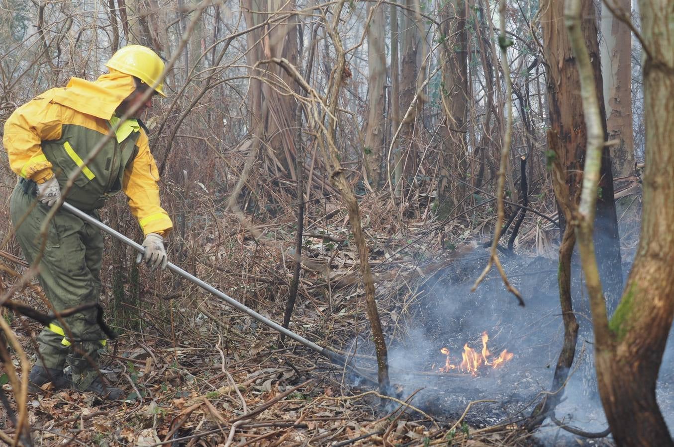 Fotos: Incendios en Cantabria