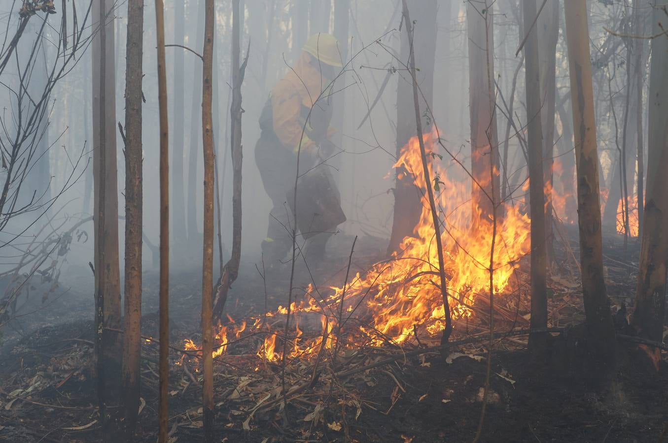 Fotos: Incendios en Cantabria