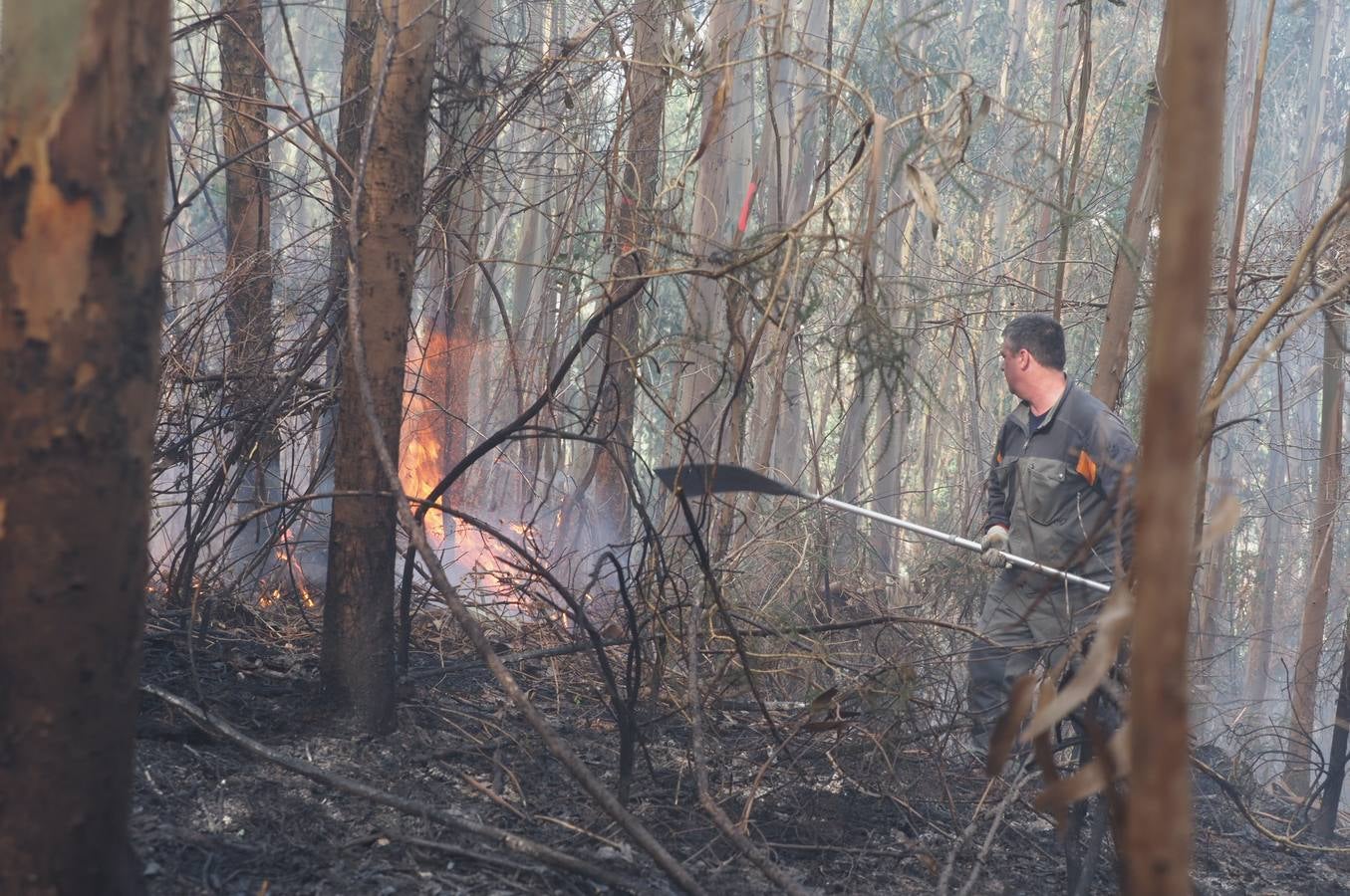 Fotos: Incendios en Cantabria