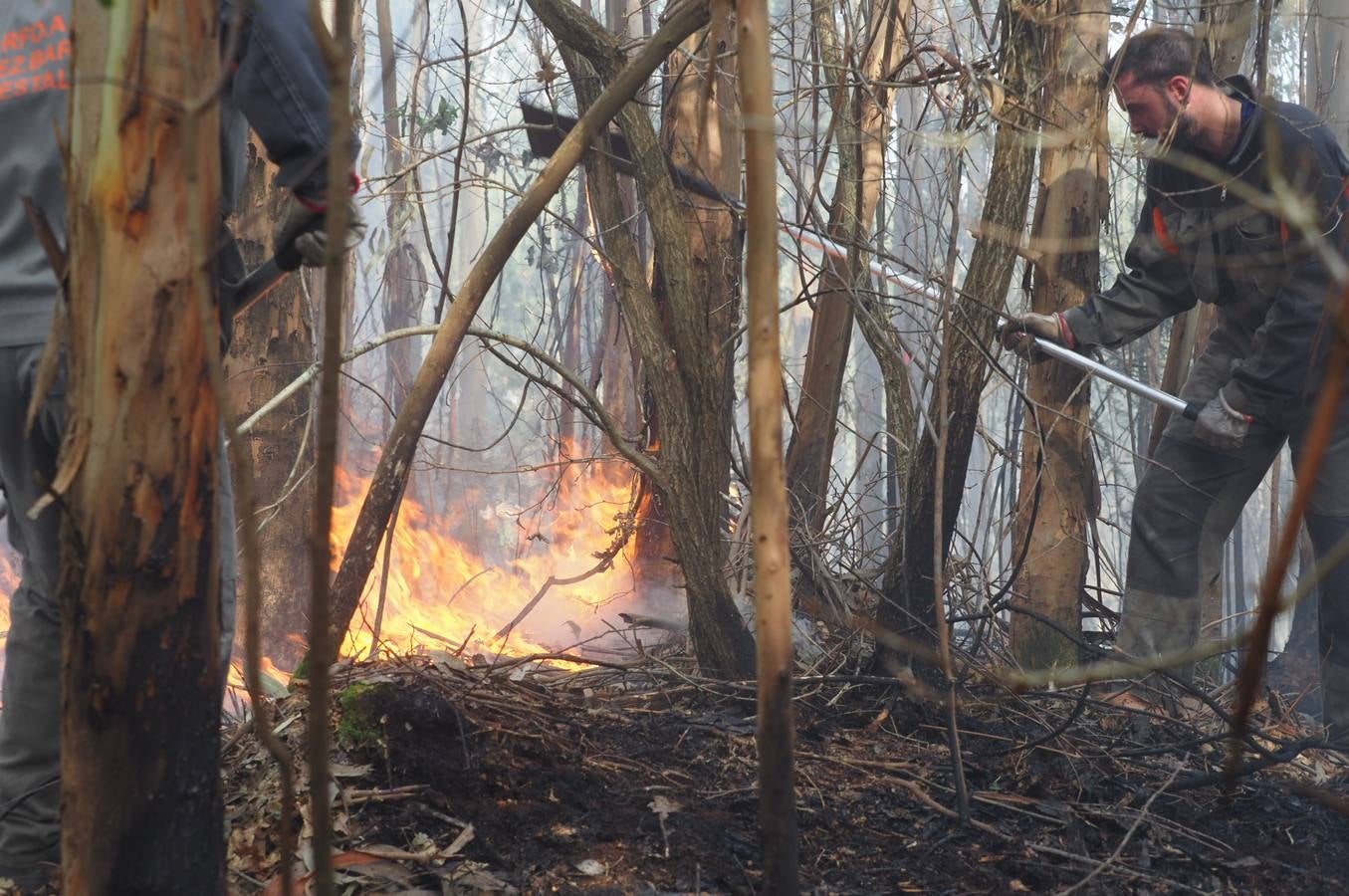 Fotos: Incendios en Cantabria