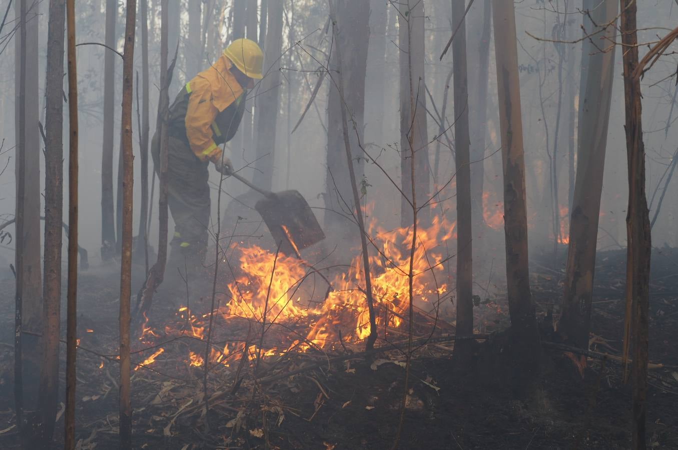 Fotos: Incendios en Cantabria