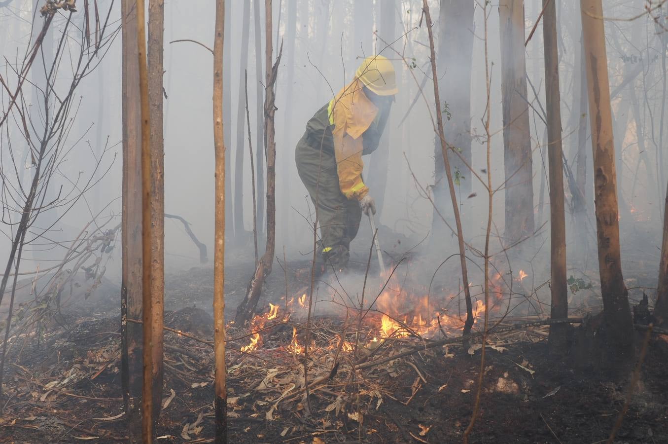 Fotos: Incendios en Cantabria