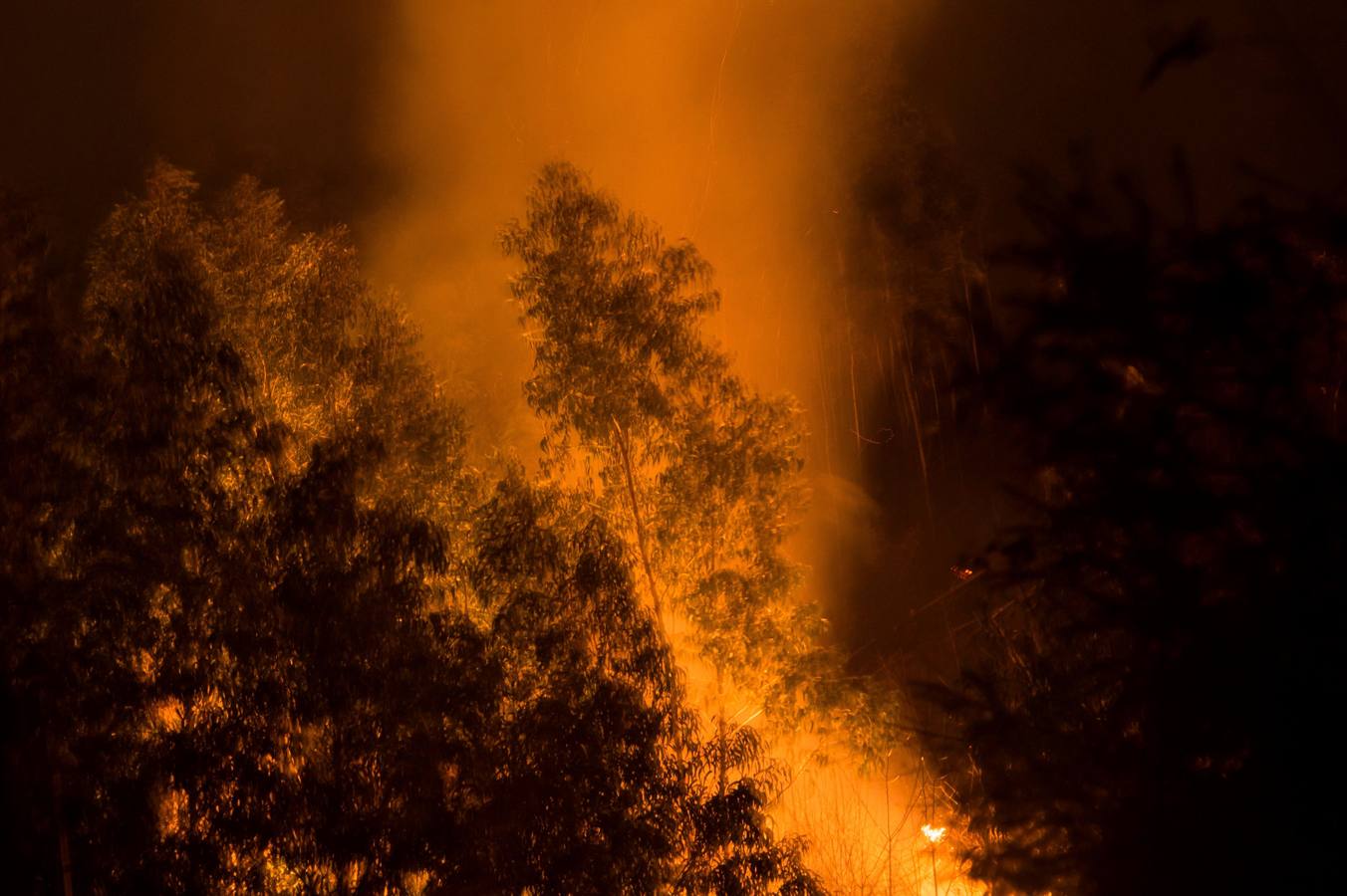 Fotos: Incendios en Cantabria