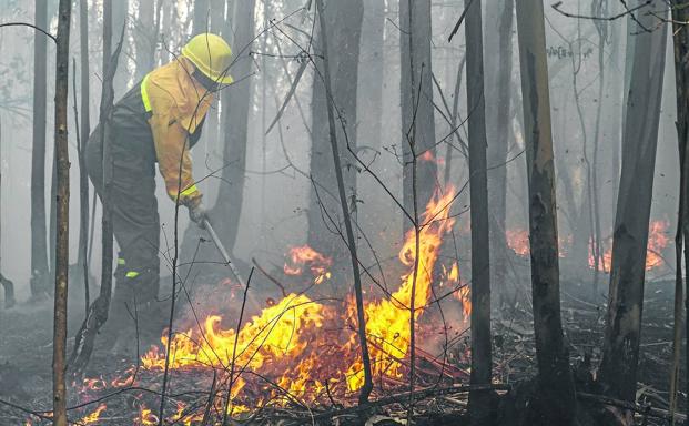 Un operario de las cuadrillas de la Dirección General de Medio Natural trabaja con el batefuegos en el incendio del pueblo de Aés, en Puente Viesgo.