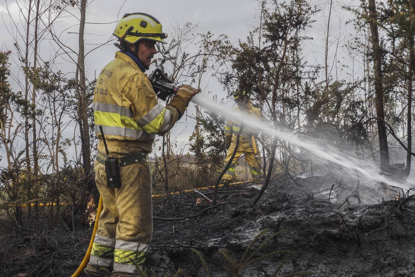 Imágenes de los incendios forestales registrados desde el martes por la tarde hasta este miércoles por la mañana en el Monte Dobra y en las zonas de San Roque de Riomiera, San Sebastián de Garabandal, Penagos, Toranzo, Vega de Pas y La Penilla de Cayón