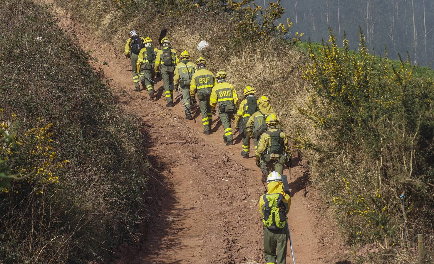 Imágenes de los incendios forestales registrados desde el martes por la tarde hasta este miércoles por la mañana en el Monte Dobra y en las zonas de San Roque de Riomiera, San Sebastián de Garabandal, Penagos, Toranzo, Vega de Pas y La Penilla de Cayón