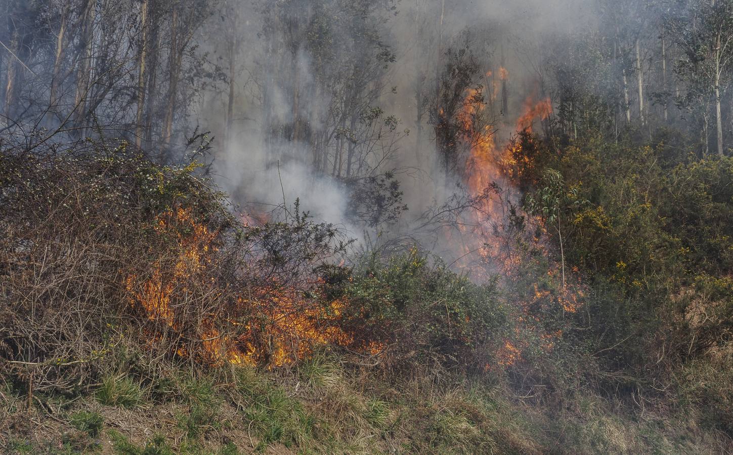 Imágenes de los incendios forestales registrados desde el martes por la tarde hasta este miércoles por la mañana en el Monte Dobra y en las zonas de San Roque de Riomiera, San Sebastián de Garabandal, Penagos, Toranzo, Vega de Pas y La Penilla de Cayón